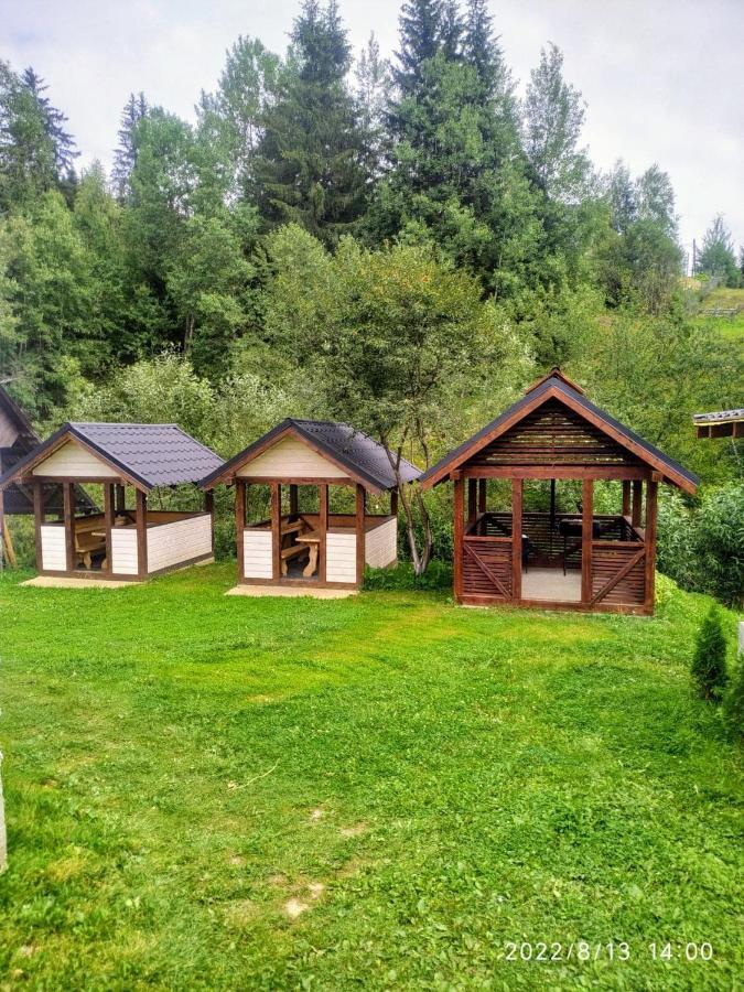 Відпочинковий Комплекс "Alpha Plus" ヤブルニツァ エクステリア 写真
